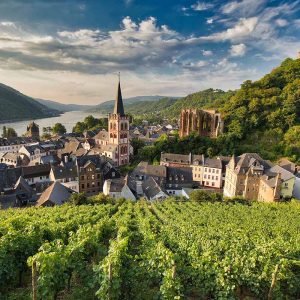 View of a vineyard in Germany.